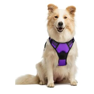 Rabbitgoo Dog Harness - Medium